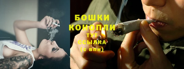 шишки Балабаново
