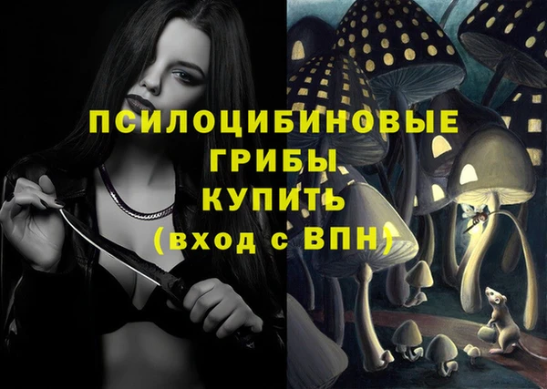 дживик Балахна