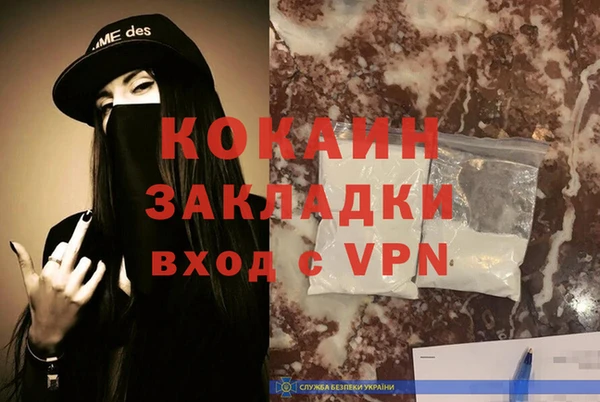 шишки Балабаново