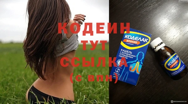 шишки Балабаново