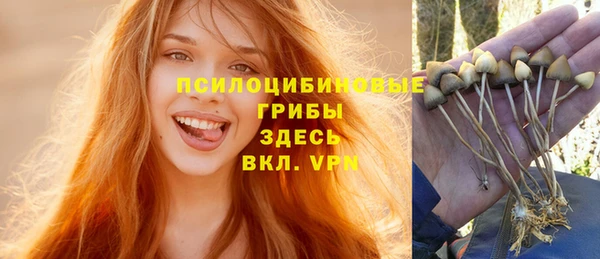дживик Балахна