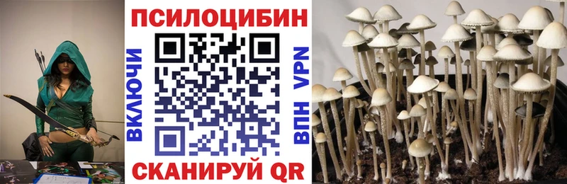 Псилоцибиновые грибы мухоморы  mega онион  Шагонар 